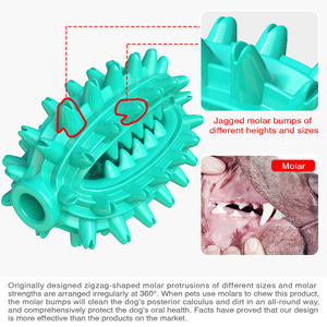 Teal Spiky Chewing <b>Toy</b> for Dogs Teeth Cleaning <b>Interactive</b> Pet <b>Toy</b> Plastic Design - Product Image 4