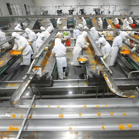 Milieuvriendelijke multifunctionele 304 roestvrijstalen conservenmachine voor de productielijn van gemengde fruitcocktails met motor en pomp
