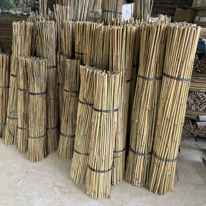 Cañas de bambú natural Postes de bambú Estaca de bambú Tonkin 120cm - Product Image 1