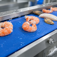 Convoyeur à bande modulaire incliné, conception hygiénique pour l'industrie alimentaire avec crans et parois latérales, idéal pour les lignes d'emballage de biscuits