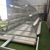 Cage à poules pondeuses de type 3/4 niveaux pour projet avicole, 10 000 poules pondeuses, galvanisée à chaud, abreuvement automatique, nettoyage du fumier