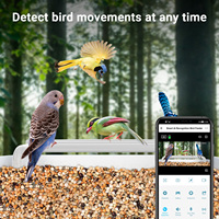 Nouvelle caméra d'alimentation solaire intelligente pour oiseaux, maison d'oiseau avec caméra, 2023