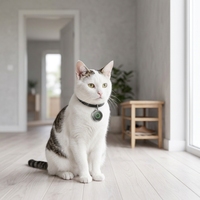 Traceur GPS pour animaux de compagnie, localisateur anti-perte, dispositif de positionnement Bluetooth pour chat, chien, clés avec crochet étanche