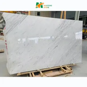 Panda White Marble Slab with Home Decoration