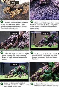 Gratis monsterplant zoetwaterplant voor <span class=keywords><strong>aquarium</strong></span> terrarium dwergplant universeel substraat groothandel <span class=keywords><strong>aquarium</strong></span> decoratie zaden - Product Image 6