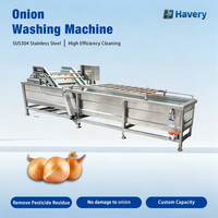 Industriële uienwasmachine 500kg/u