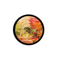Fenêtre en verre fixe upvc/pvc matériaux cadre vinyle profils fenêtres rondes qui s'ouvrent