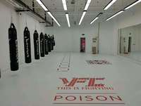 Tapis de sport en mousse XPE, pom-pom girl, en rouleau souple, surface en pvc, tatami, motif xpe, lutte, BJJ