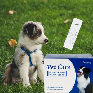 Test rapide d'anticorps canin Brucella BCL Ab - Product Image 4