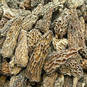 <span class=keywords><strong>Prix</strong></span> de gros, <span class=keywords><strong>morilles</strong></span> jaunes sauvages séchées comestibles de qualité supérieure - Product Image 5