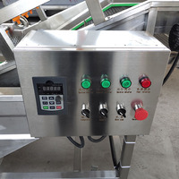 Bulle automatique transport pomme baie dates ail poire fruits légumes nettoyage lavage machine