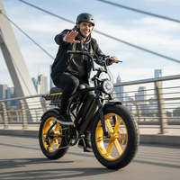 Vélo électrique R9 Ultra à double batterie 15A 25AH, 250W, longue autonomie, suspension intégrale, style cyclomoteur, prix d'usine