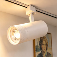 Système d'éclairage sur rail LED blanc moderne 5 CCT 30W, projecteurs COB réglables, lampes LED sur rail