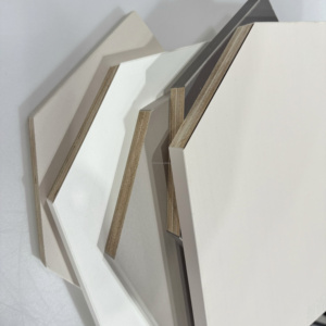 Nouveau panneau de mélamine 18mm contreplaqué Boardplaceer Multiplex 11 plis panneaux 4x8 fini étanche utilisé intérieur - Product Image 3
