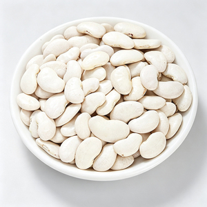 Frijoles Blancos Puros, Antioxidantes, Estabilizan el Azúcar en la Sangre, Salud Digestiva, Materia Prima para Cocinar, Suministro OEM a Granel - Product Image 3