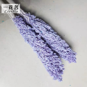 Bella Naturale Secca Sorgo Bouquet Conserve di Sorgo Fiore pianta - Product Image 5