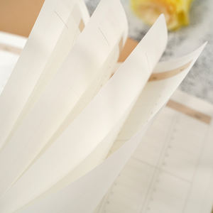 Cubierta de papel personalizada Cuadernos A4 A5 B5 Planificador Impreso Tapa dura 365 días Tomoe río Cuadernos de revista - Product Image 6