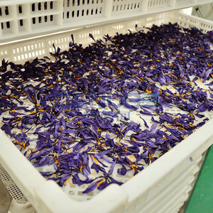 Customer Design Herb Drying Room Heat Pump Drying Oven Saffron <b>Dehumidifier</b> Processing Equipment - Product Image 3