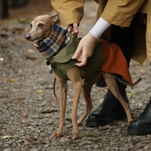 Fabricante personalizado Dark Academia estilo tendencia impermeable ligero perro impermeable chaqueta <span class=keywords><strong>de</strong></span> abrigo para mascotas - Product Image 2