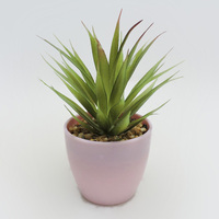 Plante succulente artificielle en plastique haute simulation, écologique, pour la maison, le jardin, en pot, pour l'intérieur, le bureau, la table