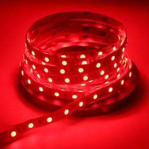 Nieuwe Stijl Rgbw Band S Vormige 5M Afstandsbediening Nonwaterproof Led Strip Licht 5050 Rgb Met Beste Service