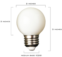 Ampoule LED à filament givrée E26 E17 E12 3.5W 110V 120V G16.5 G50