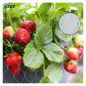 Malla Antipajaros Nortene Birdnet 4x12 MT - Product Image 6