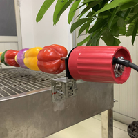 Moteur de rôtissoire automatique mini 220V AC, moteur électrique facile à installer pour rôtissoire BBQ et cuisson en extérieur