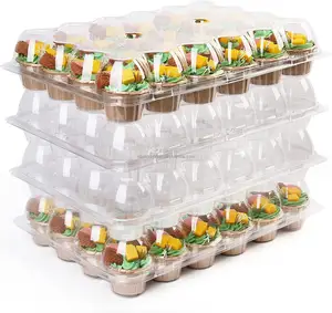 24 Count Cupcake-Behälter, 7er-Set, Kunststoff-Cupcake-Boxen Bulk, Einweg-Cupcake-Träger halter