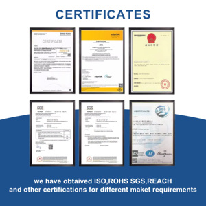 Hot Selling 1 Inch 350Kg Break Strength Black Coating Cam Lock <strong>Buckle</strong> for Tie Down <strong>Strap</strong> - Product Image 6