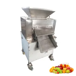 Calamansi Squeezer Pineapple Juice Extractor Machine Industrial Fresh Orange Juicer Press Machine