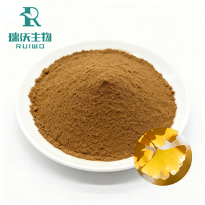 Extrait Pur de Feuilles de <span class=keywords><strong>Ginkgo</strong></span> Biloba / Poudre d'Extrait de <span class=keywords><strong>Ginkgo</strong></span> Biloba HPLC 24% 6% 5% / <span class=keywords><strong>Ginkgo</strong></span> - Product Image 1