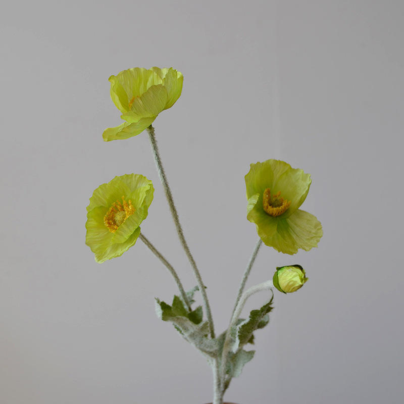 สีเขียว