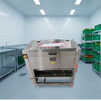 Automatische wortelborstelwasinstallatie, suikerrietwas- en schilmachine, wolrolreinigings- en schilmachine