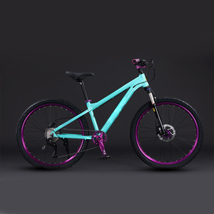 <span class=keywords><strong>Bicicleta</strong></span> de Montaña en Stock de 29 y 27.5 Pulgadas con Frenos de Disco de Aceite, 11, 12, 21, 24, 27, 30 Velocidades, Cuadro de Aleación de Aluminio, Bicicletas de Carretera - Product Image 2