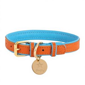 Collar de Perro Hecho a Mano de Cuero Genuino para Perros Pequeños y Grandes - Diseño Premium Suave de Alta Calidad, Regalo Naranja Azul - Product Image 1
