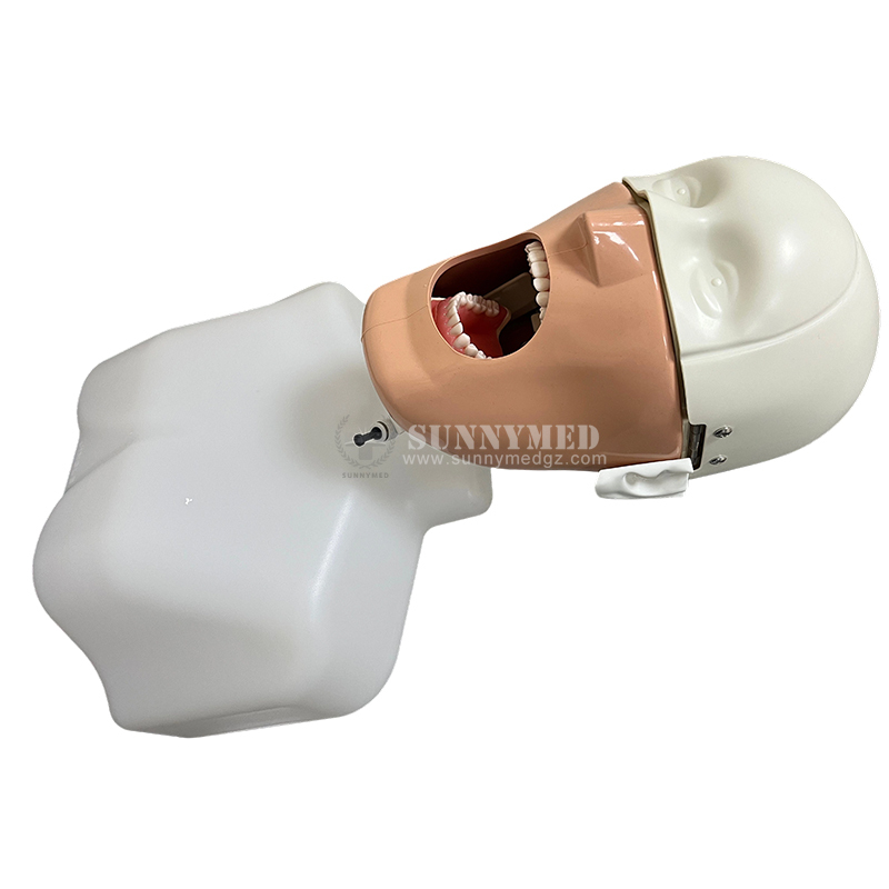 SY YM14 3 Simple Head Model