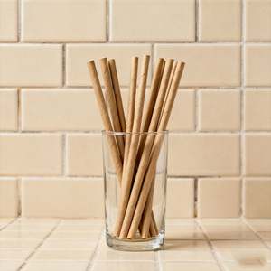 Pajitas de Papel Desechables Ecológicas y Compostables, Aptas para Eventos de Catering, Fiestas al Aire Libre y Uso Diario para Bebidas - Product Image 1