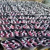 Bunga Mawar Merah Kunming Yunnan Grosir Kotak Bunga Potong Dekorasi Mobil Pernikahan Mawar Tunggal Tanpa Kelopak