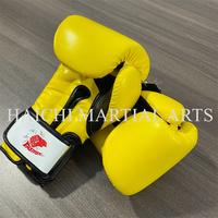 Gants de boxe et de MMA de haute qualité 8 oz Lacés Imperméables et coupe-vent Logo personnalisé pour l'entraînement de boxe - Équipement de boxe