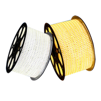 Vente en gros 100ft 220V LED bande corde lumières extérieur étanche décoratif blanc chaud blanc avec interrupteur de télécommande