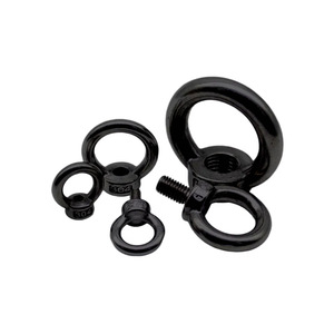 Pernos de Anillo Baigu M3 M4 M5 M20 de Acero Inoxidable 304 con Recubrimiento Electroforético Negro, Grado A Estándar para Elevación - Product Image 1