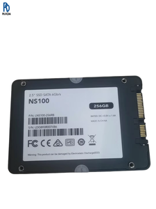 Controlador PLC, Sensor, Unidad de Estado Sólido Interna, Nueva y Original NS100 de Alta Velocidad, SSD SATA de 2.5 Pulgadas y 256 GB - Product Image 1