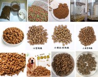Machine de traitement entièrement automatique de granulés d'aliments pour animaux de compagnie, machine d'extrusion de granulés flottants pour aliments pour crevettes et poissons