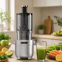 Extracteur de jus lent électrique en acier inoxydable 350 ml pour vente en gros OEM, presse à froid, avec logo personnalisé et marque privée