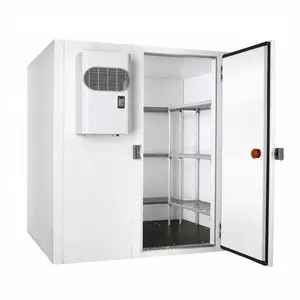 Enfriador de tamaño pequeño, mediano y grande, refrigeración por congelación, cámara frigorífica, congelador, almacenamiento, sala de refrigeración a la venta