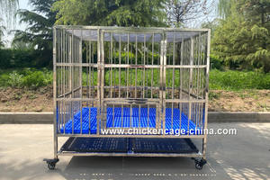 قفص قابل للتكديس من الفولاذ المقاوم للصدأ 304 بتصميم عصري مع صينية قابلة للإزالة وصينية بلاستيكية للكلاب الكبيرة - حامل للحيوانات الأليفة - Product Image 2