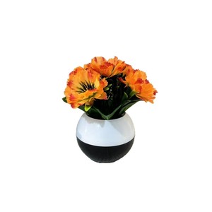 Flores Artificiales Paulon, Mini Florero de Plástico, Decoración de Escritorio Estilo Ins, 16.5cm, Margarita, Palmera, Adorno Colorido - Product Image 5
