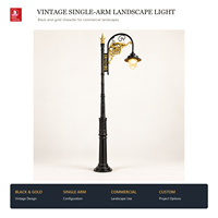 Lampe de jardin vintage noire et or à bras unique, décorative, pour extérieur, hôtel, parc, aménagement paysager commercial, OEM ODM
