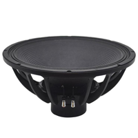 Subwoofer PR Series 18'' 21'' Néodyme 4000W 5000W 8 Ohms Haut-parleur Audio Professionnel